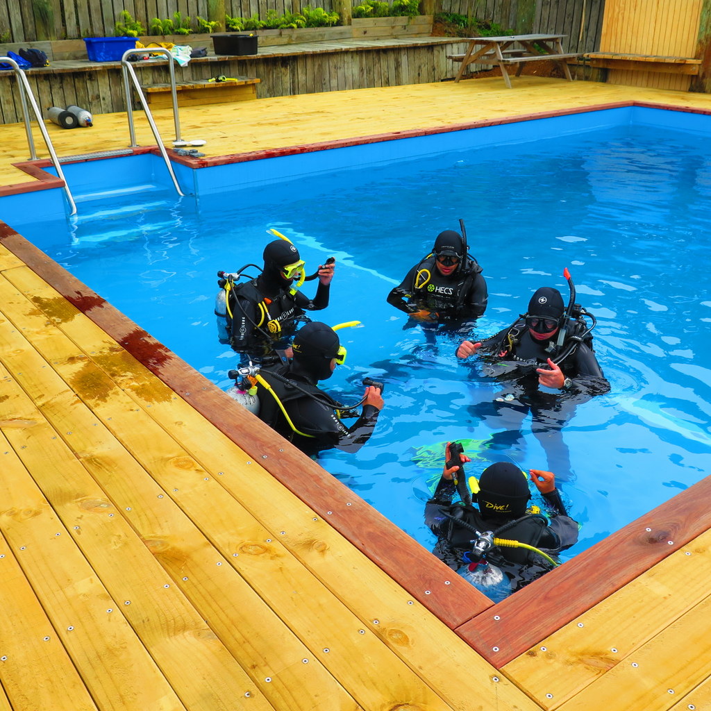 Training at Shed 7 in the salt-water pool