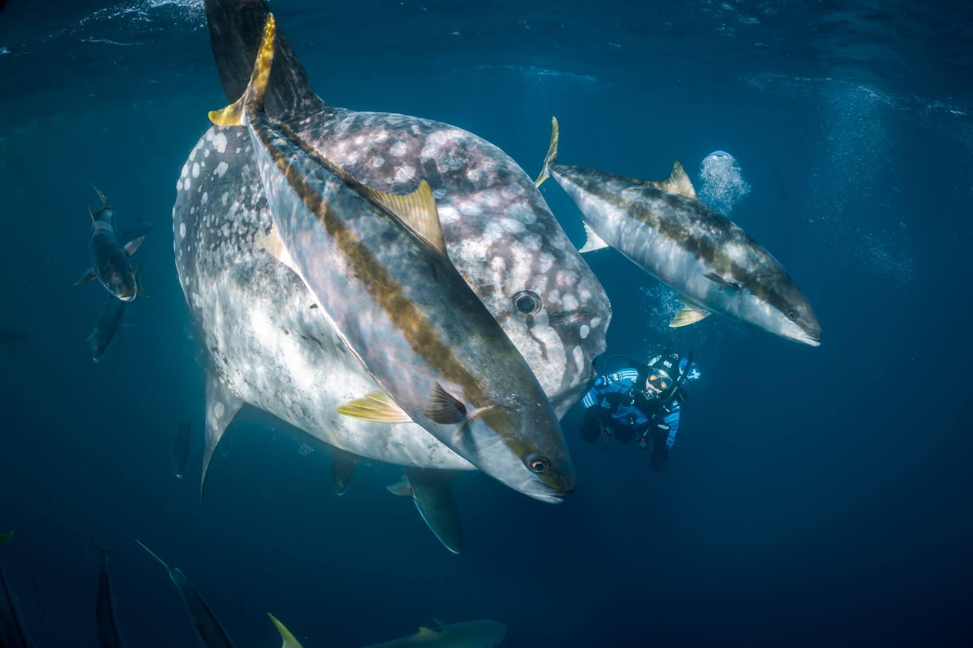 CLU03764.jpg#asset:2477