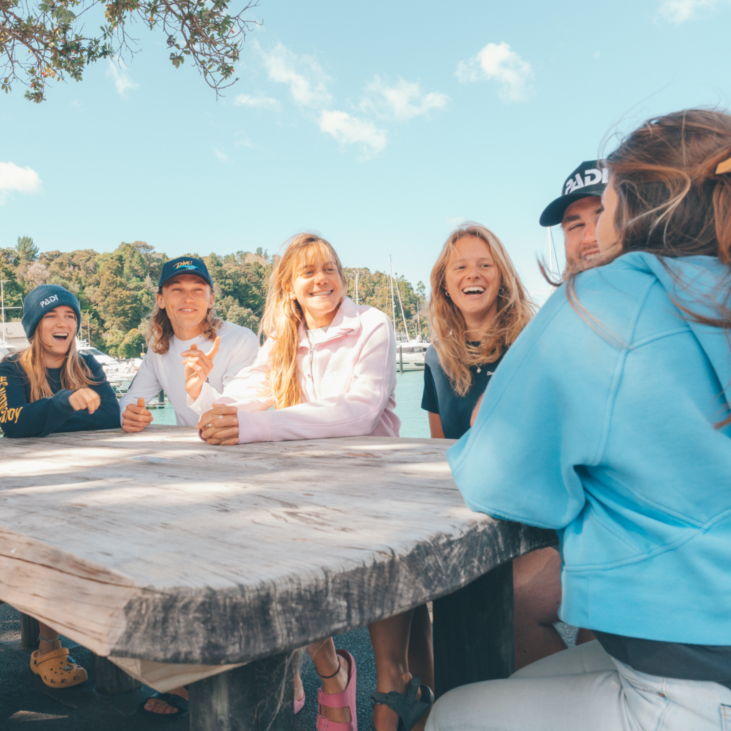 DMpage.png#asset:2447