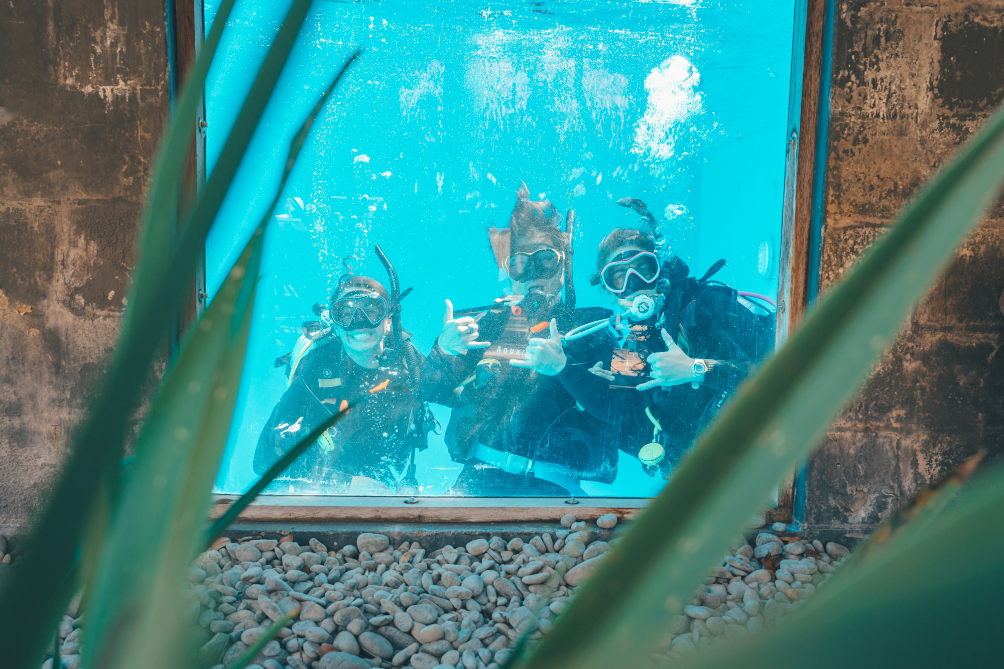 DSC06335.jpg#asset:2433